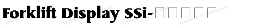 Forklift Display SSi字体转换